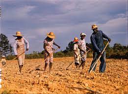 blues evolution and history - sharecropping